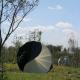Metal Sculptures